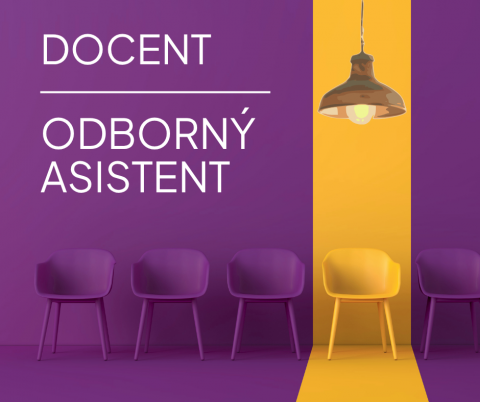 Výběrové řízení: Odborný asistent / docent